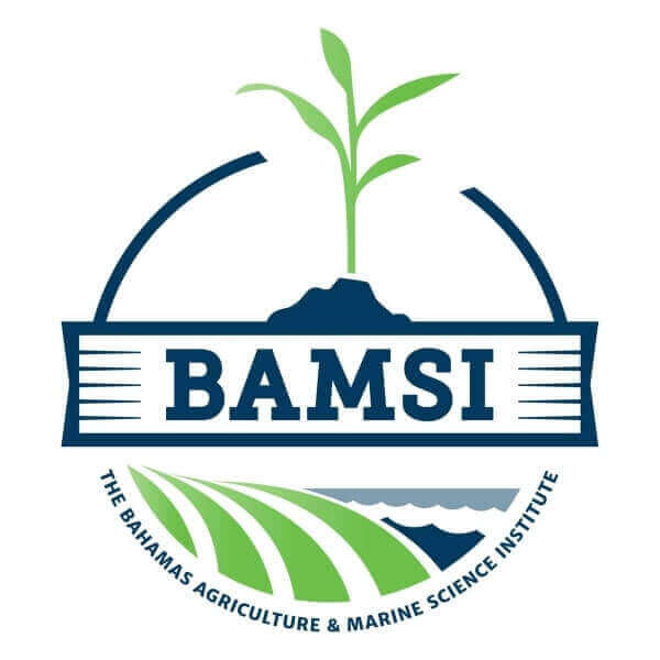 Bahamas Agriculture and Marine Science Institute (BAMSI)