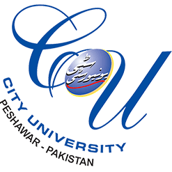 City University of Science and Information Technology Logo