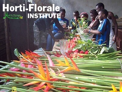 Horti Florale Institute (HFI) Buea Logo