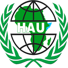 HORN OF AFRICA UNIVERSITY (HAU), MUQDISHO | Tuition Fees | Courses
