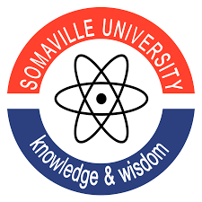 Somaville University | Courses | Fees | Somalia