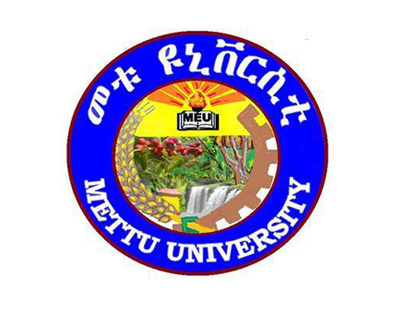 Mettu University | Tuition Fees | Offered Courses | Admission