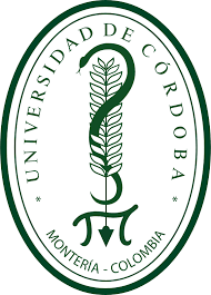 Universidad de Córdoba Colombia / Carreras y Matrícula 2024 / Costos